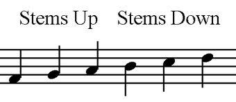 stems music meaning: The rhythm of life echoes in every note played.